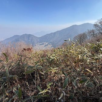 井上山、大洞山、妙徳山