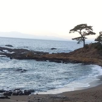 立石公園の海岸