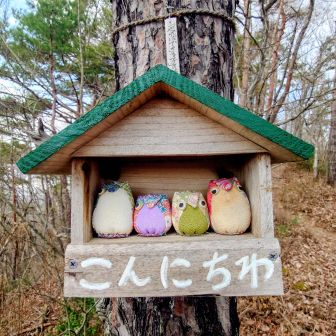 こんにちは😃✨️癒される🥰