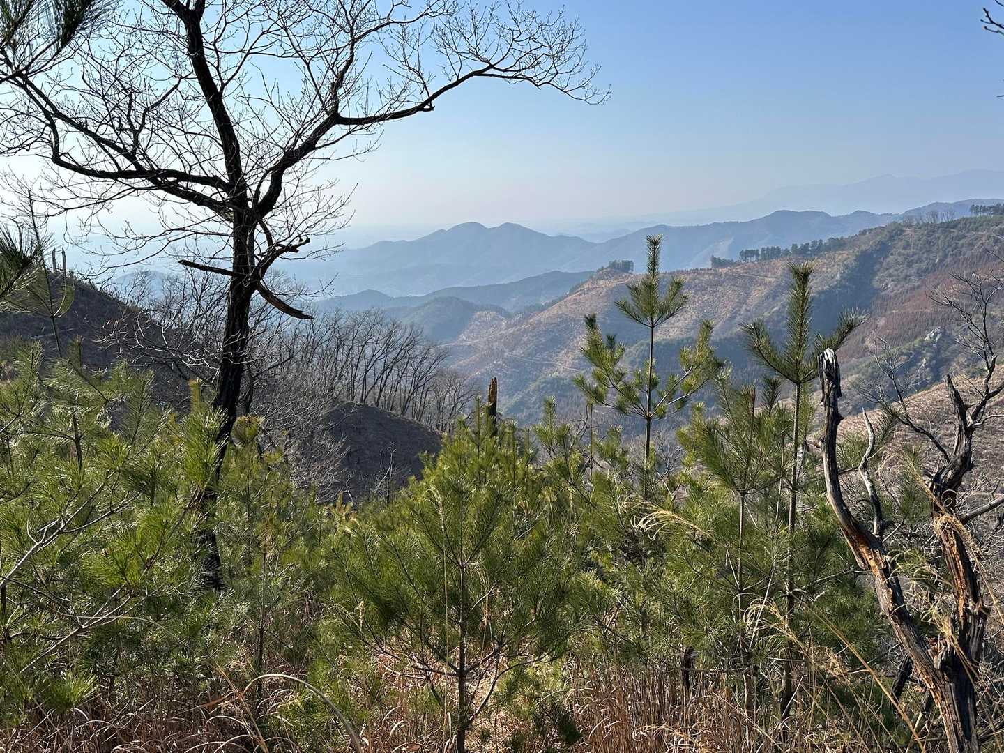 吾妻山