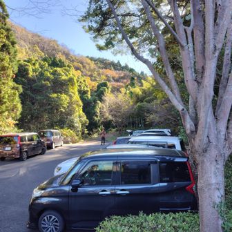 駐車場はほぼ満車🈵