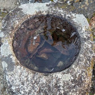 薄氷張ってる。