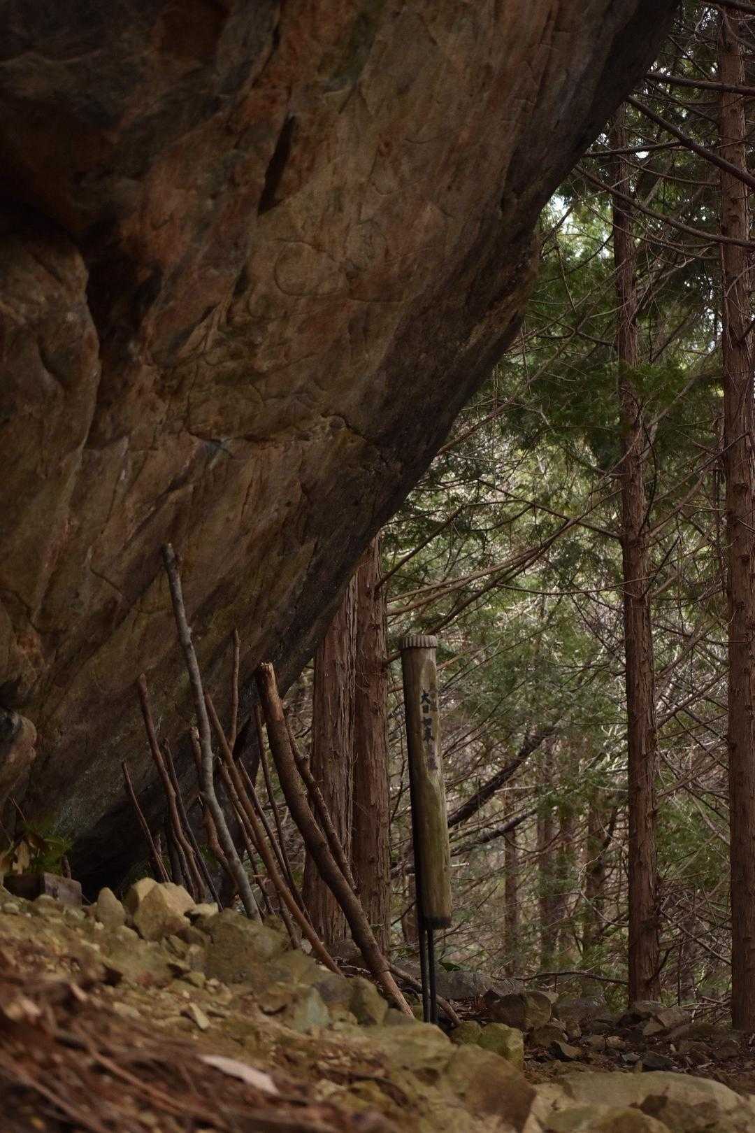 この山も巨石が多い。めちゃくちゃ大きい。