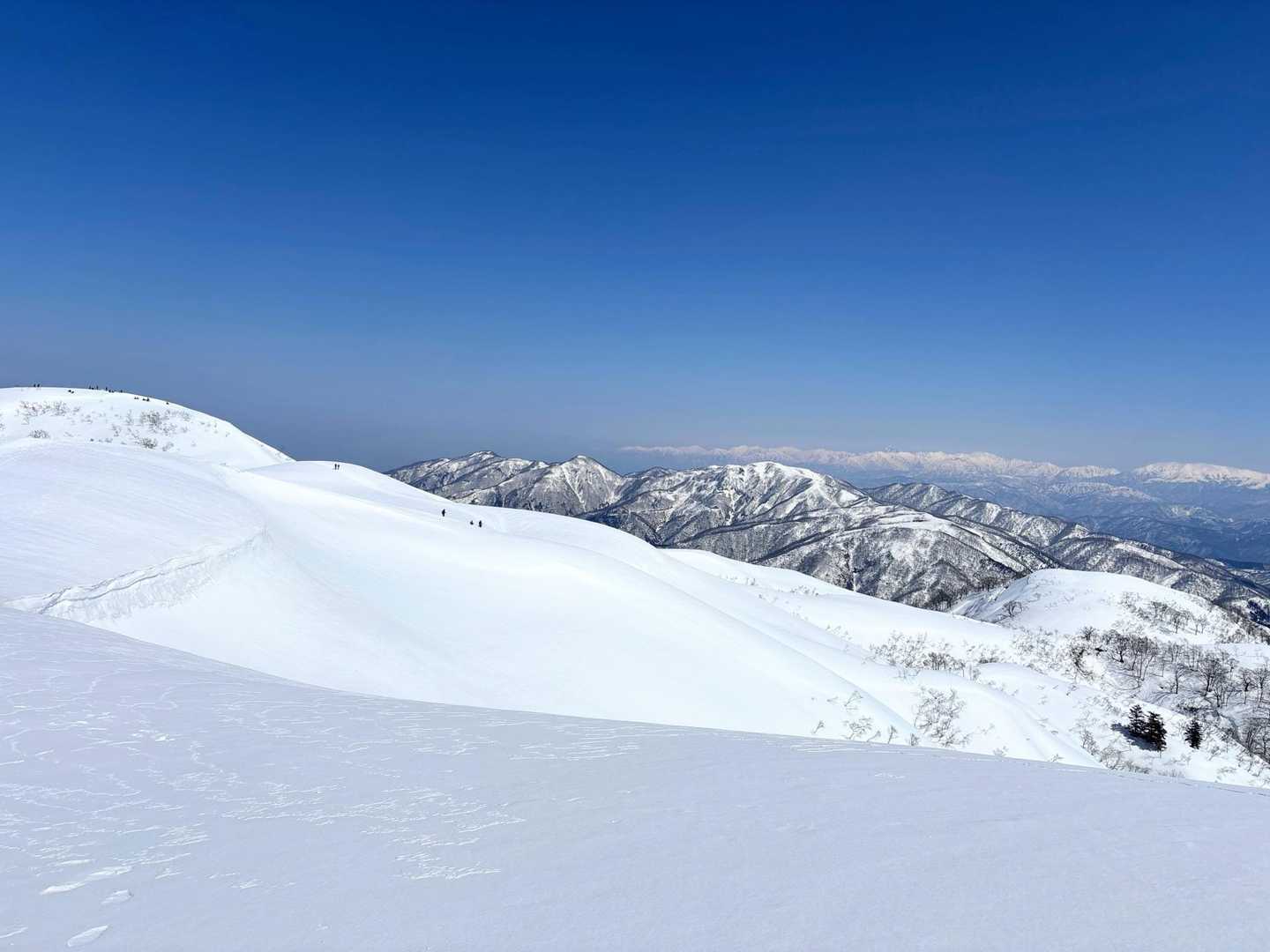 栃谷登山口-片折岳-奥金剛堂山 往復コースの写真