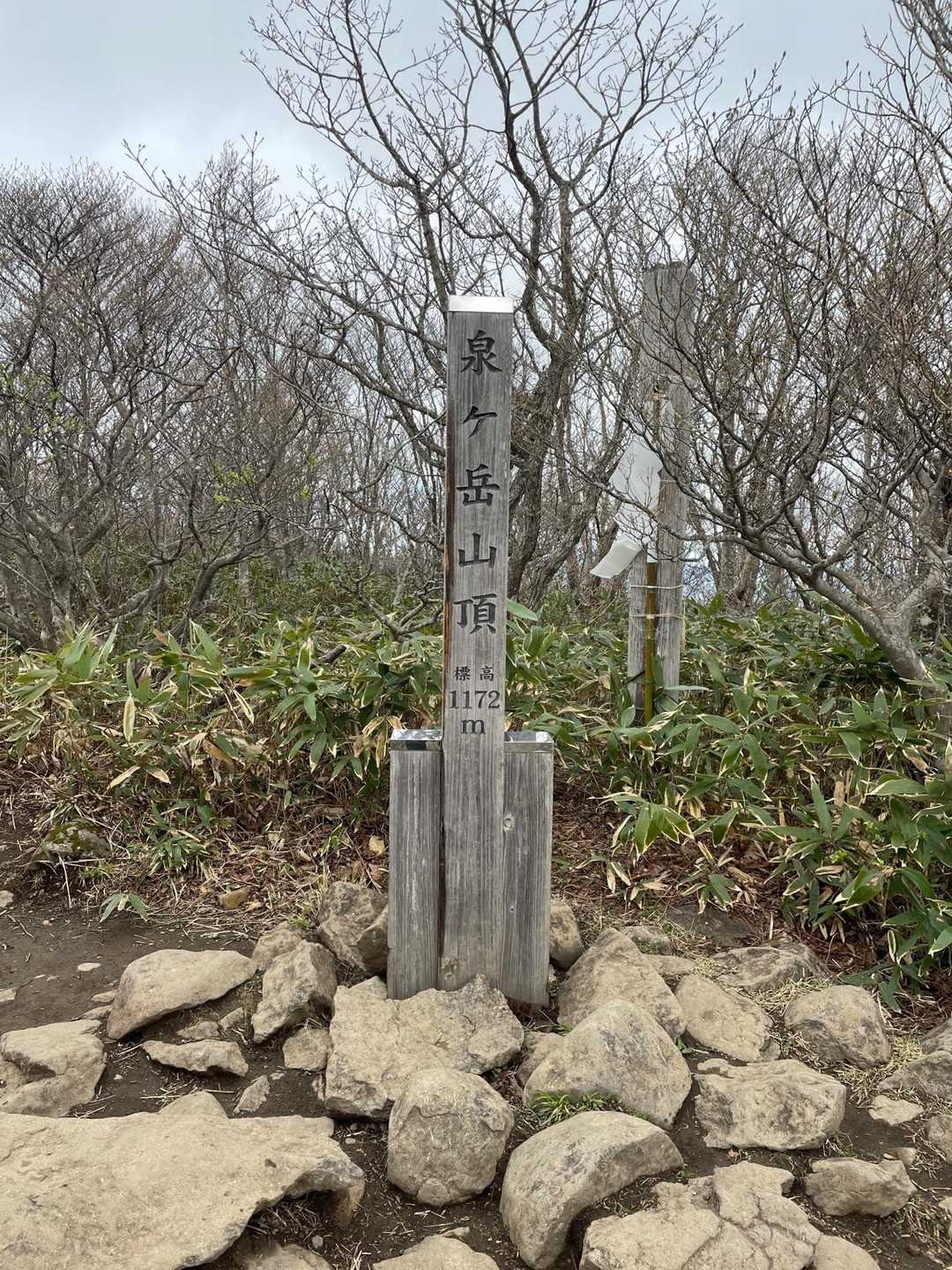 山頂到着。