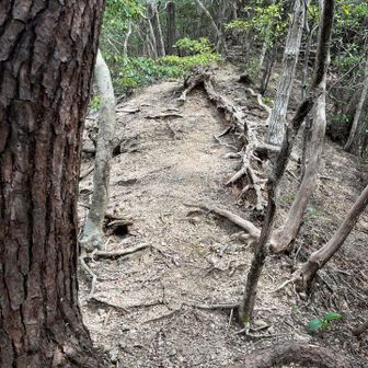 こちらもザレた急登