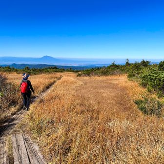 上毛無岱到着🚩

岩木山を見ながら草紅葉の道中を進む🐇🐢🎶