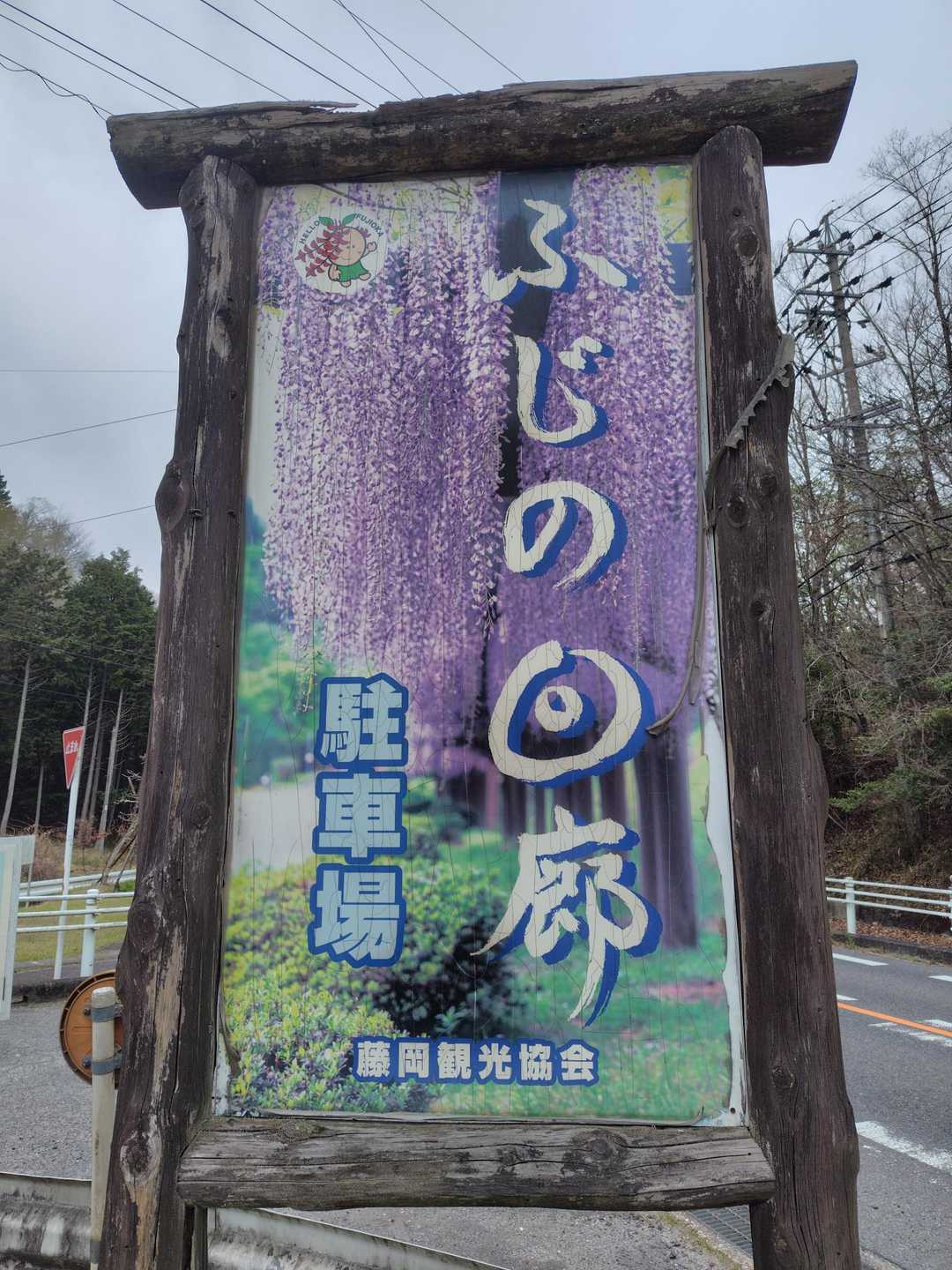 今回の🅿️になります‼️