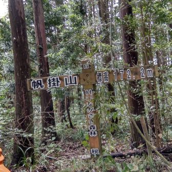 帆掛山🎊
今日はこのルートが 標高の割りにしんどく感じる😂😮‍💨