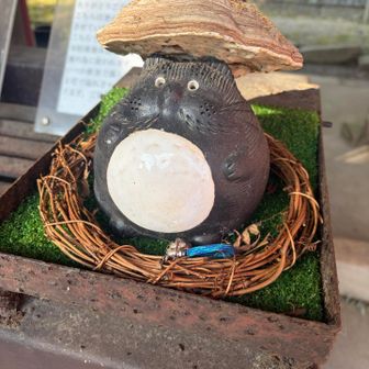 金蔵寺には色んなたぬきの置物があります。
自分は入口のたぬきが好きですね👍