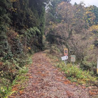 こぶしの路から頂上を目指す✊。登山口に駐車場🅿️とトイレ🚾、自販機あり