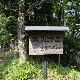 大矢野岳山頂に到着
こちらは眺望なし💦