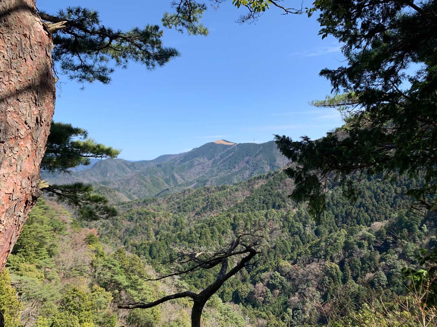 滝畑登山口-ボテ峠-施福寺-猿子城山 周回コースの写真