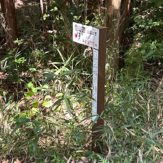 いつもと違い、時計回りでスタート
このあと大変！