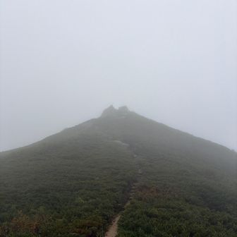 この辺で先に見えるもの全部山小屋に見える。