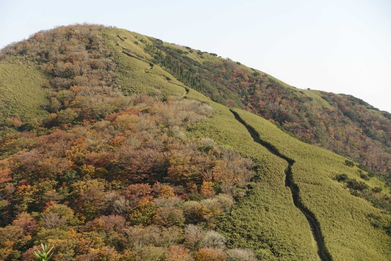 金時登山口バス停-金時山登山口-金時山-長尾山-乙女峠-姥 縦走コースの写真