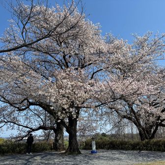 丸墓山古墳の頂上