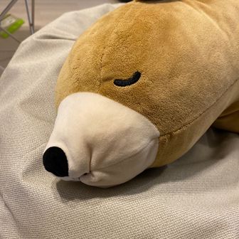 ともゆうのとも