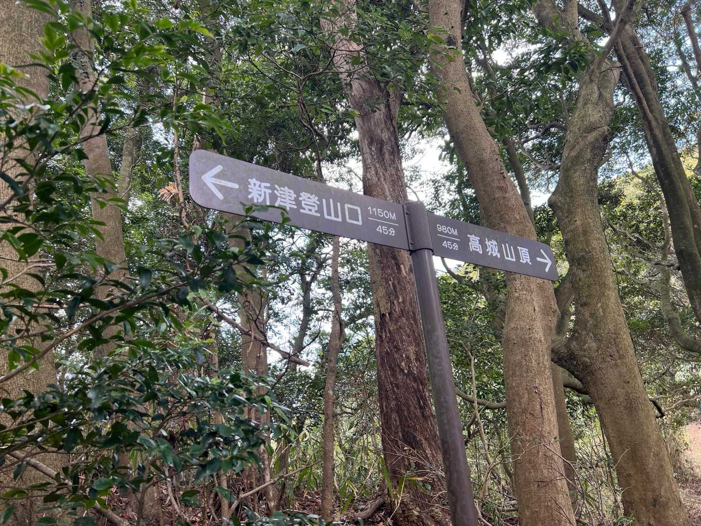 ちゃんとした案内標識が登場。
新津登山口からのルートと合流。
帰りは新津に下ります。

ここからが苅田アルプスのエリアになるのかな。
