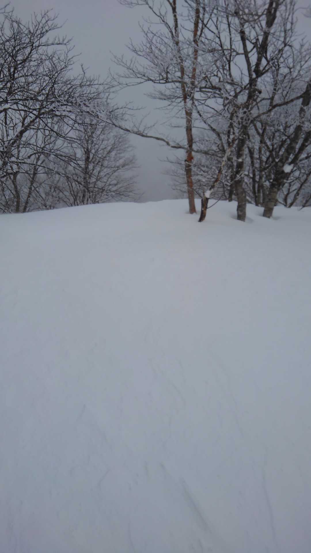 この辺りに山頂プレートを設置した記憶があるが雪の中。