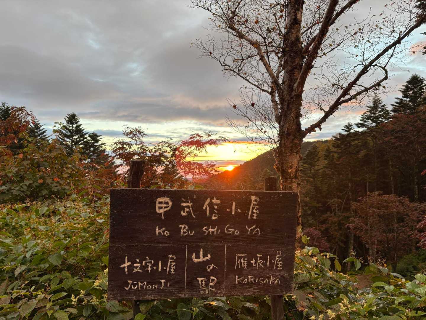 甲武信ヶ岳-三宝山-武信白岩山-大山-十文字峠 縦走コースの写真