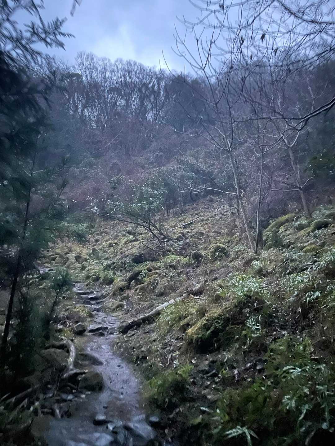 石射太郎山登山口-石射太郎 往復コースの写真