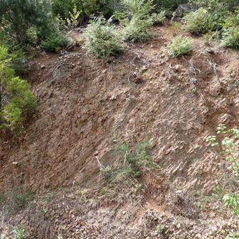 卒塔婆山の南面は崖です⚠️
危ないので､一般登山者は､もと来た道に戻りましょう｡
(降りるのに苦労しました💦)