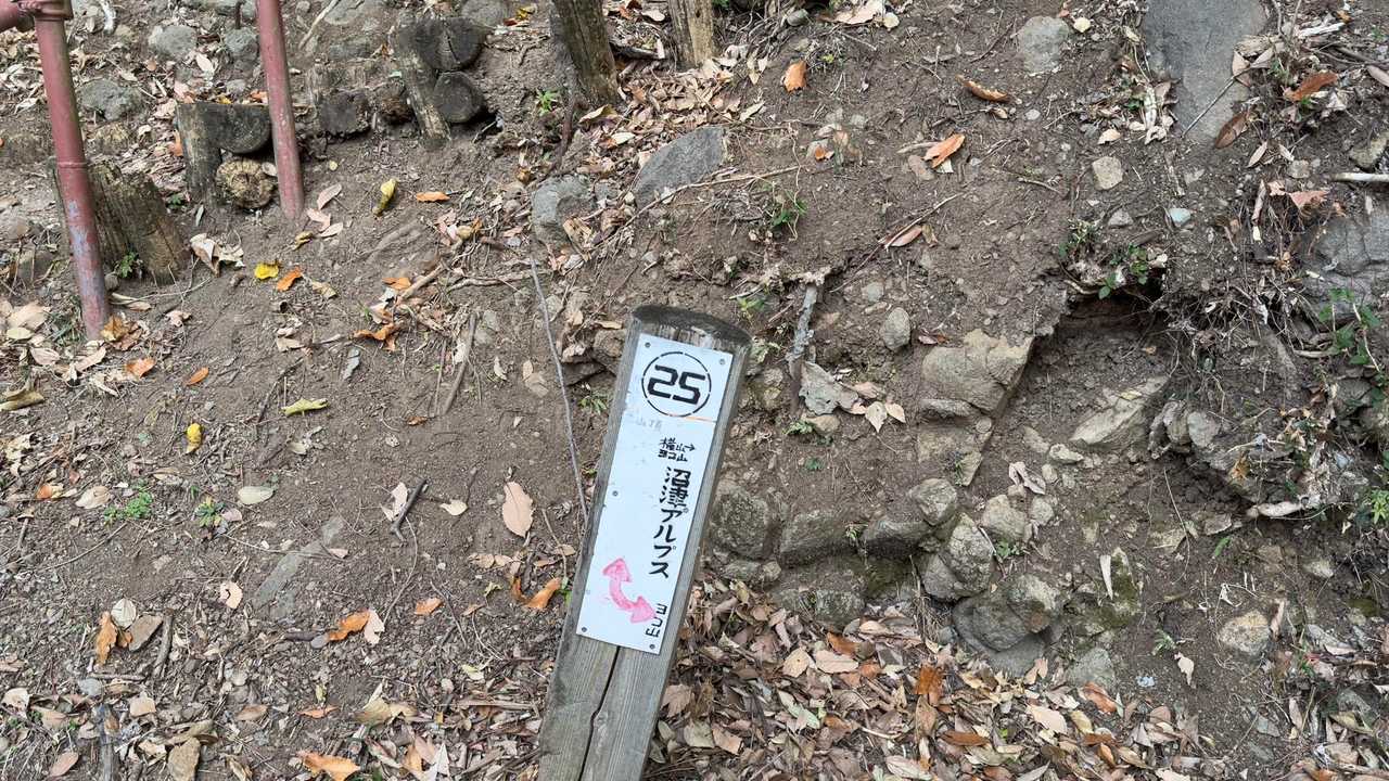 沼津アルプス（香貫山・横山・徳倉山・鷲頭山・大平山） の写真 20