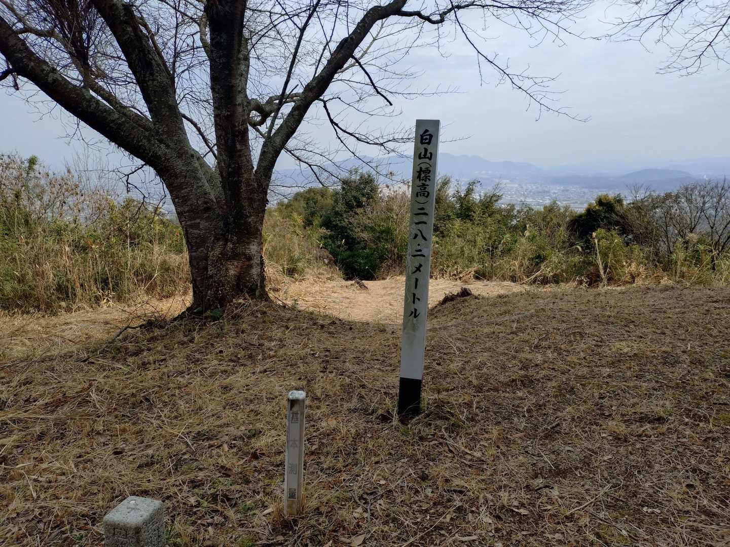 白山 往復コースの写真