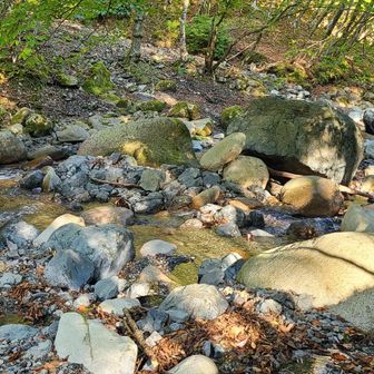 渡渉してキツイ登りですね