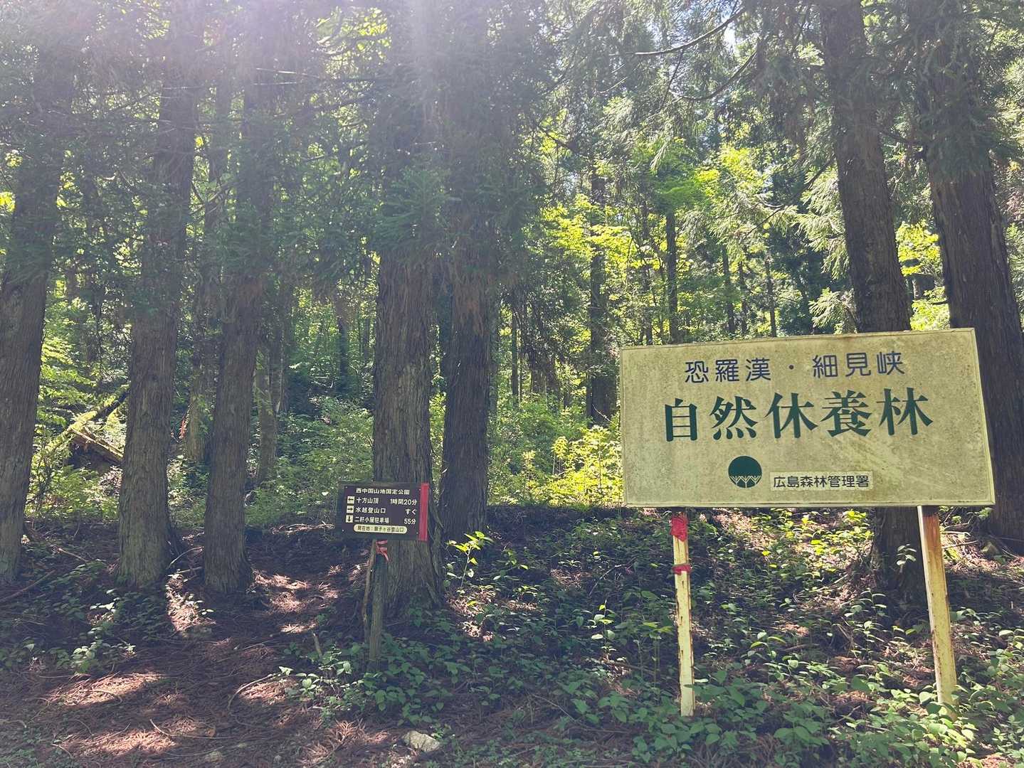 やっと登山口に