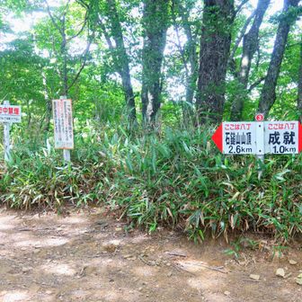 八丁のコルまで降りてきたら成就社まで100ｍ登り返すだけ 終わりが見えて来た