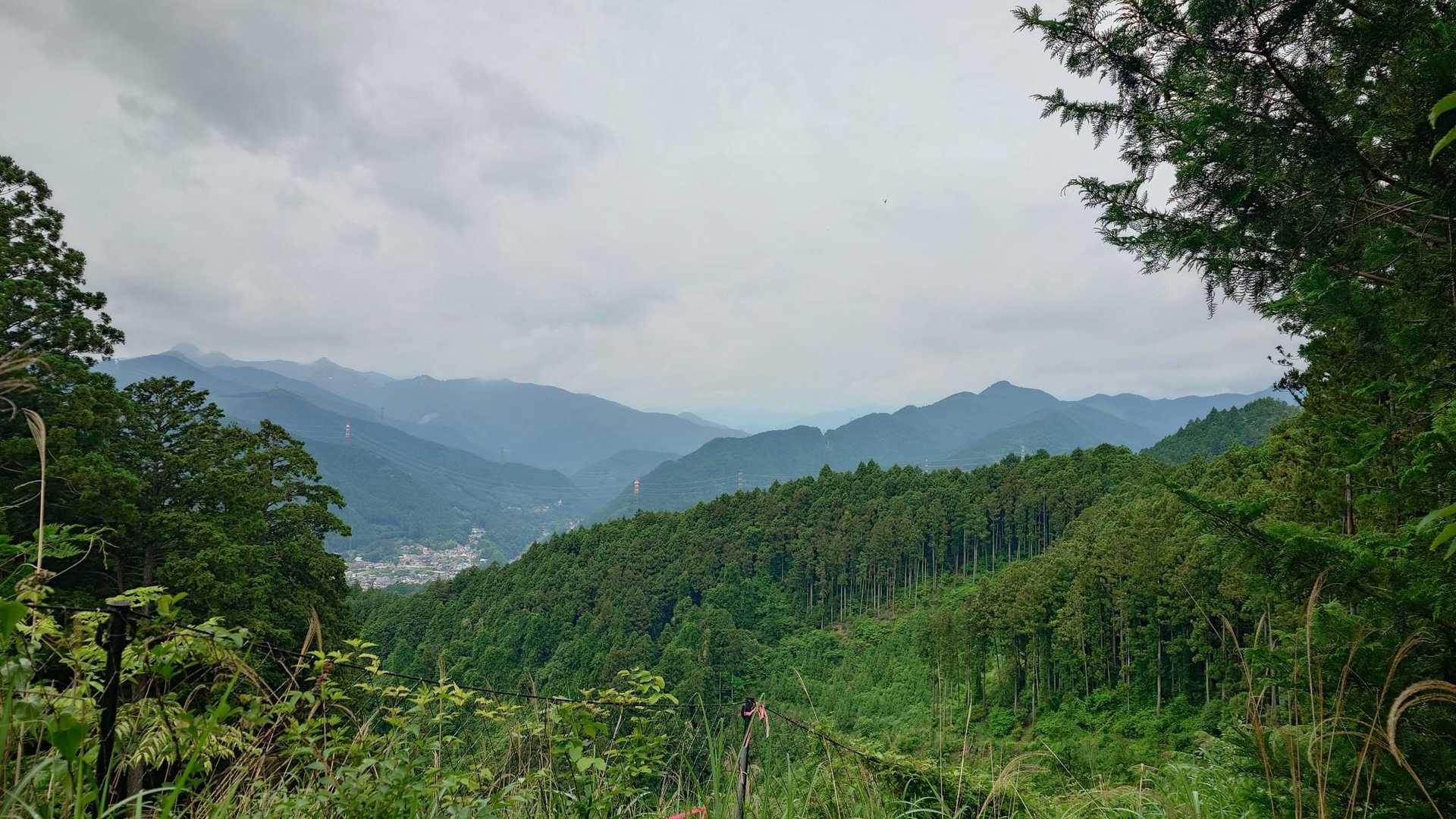 【フラット登山】「国破れて山河あり」の青梅丘陵　丘陵をたどる面白さ
の写真