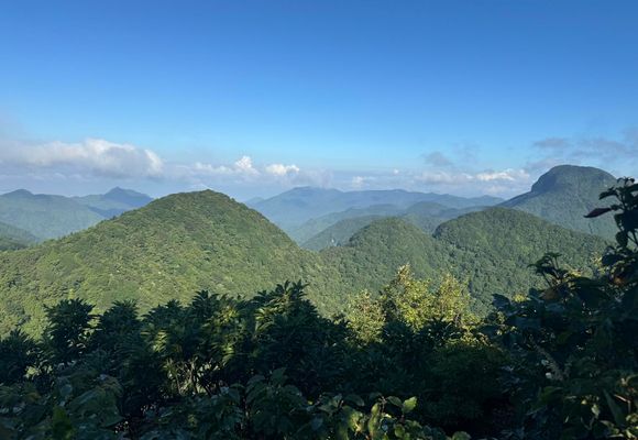 多良岳（佐賀・983m）| 登山ルート・天気 | YAMAP / ヤマップ