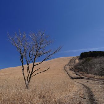 下山は早くあっという間