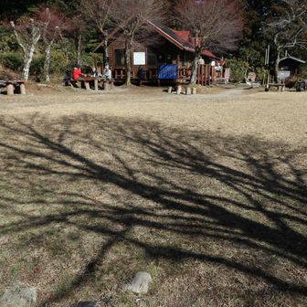 今日の楞伽院山荘は混み合っておらず、静かで落ち着く ( ⁎ᵕᴗᵕ⁎ )