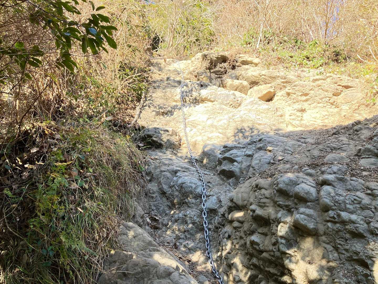 直登路は結構な鎖場です
この写真では全然伝わらないと思いますが…
