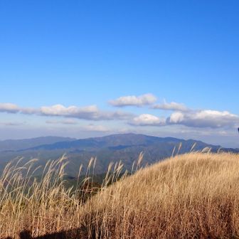 歩いてきたダイヤモンドトレール💎