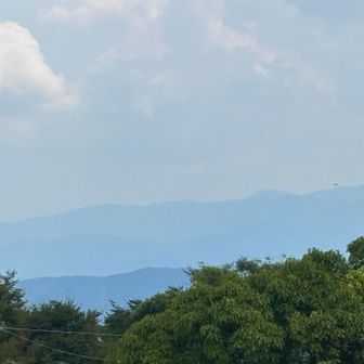 でも、暑さで霞んでる⁇