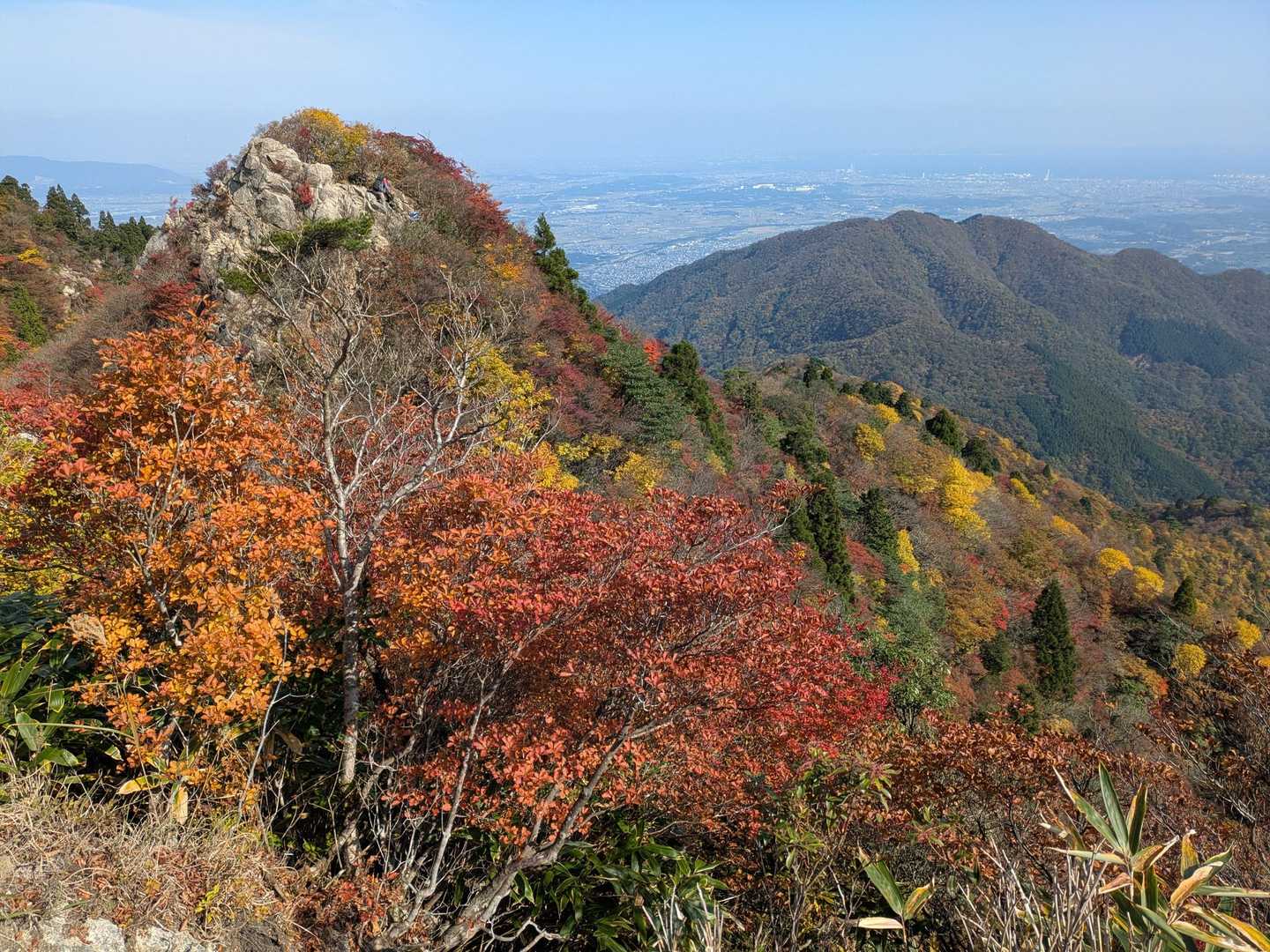 めちゃカラフル🧡💚❤️