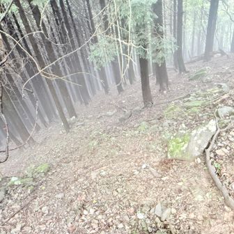 最初から急傾斜の下りが続いた。肉眼ではもっと暗く、またガスが深い様子だった。