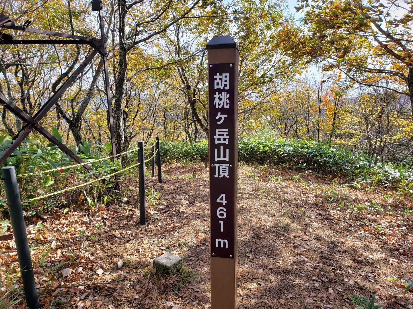 461mの山はわざわざ登りに来ない。今日はちょっと散歩の気持ち。