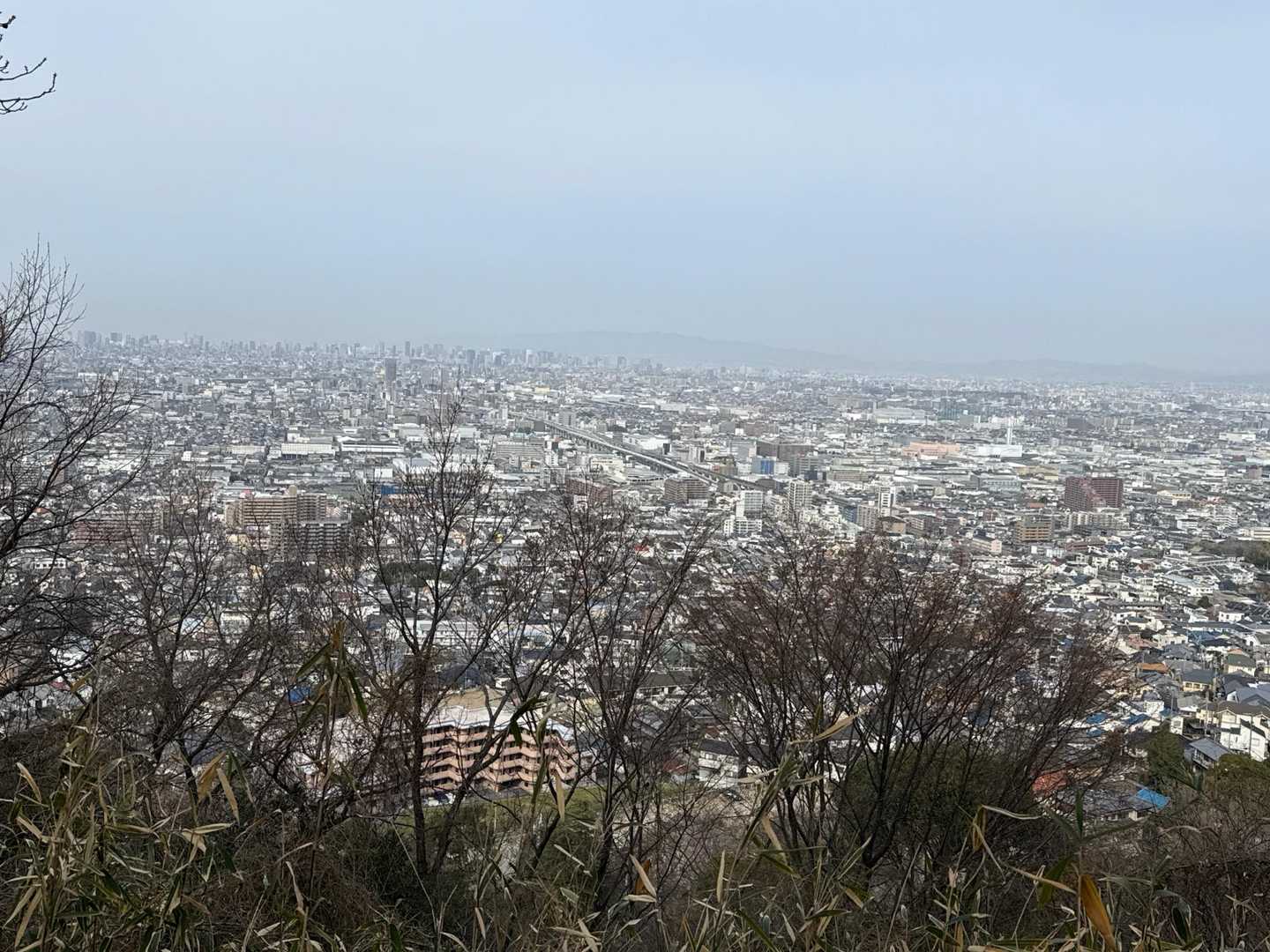 タタラ山-生駒山-鬼取山-暗峠-神津嶽 周回コースの写真
