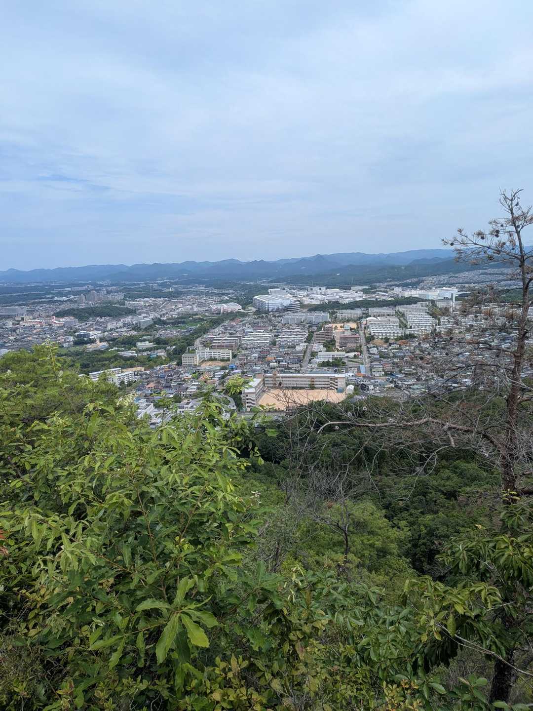 急登を一気に上がる〜🫈