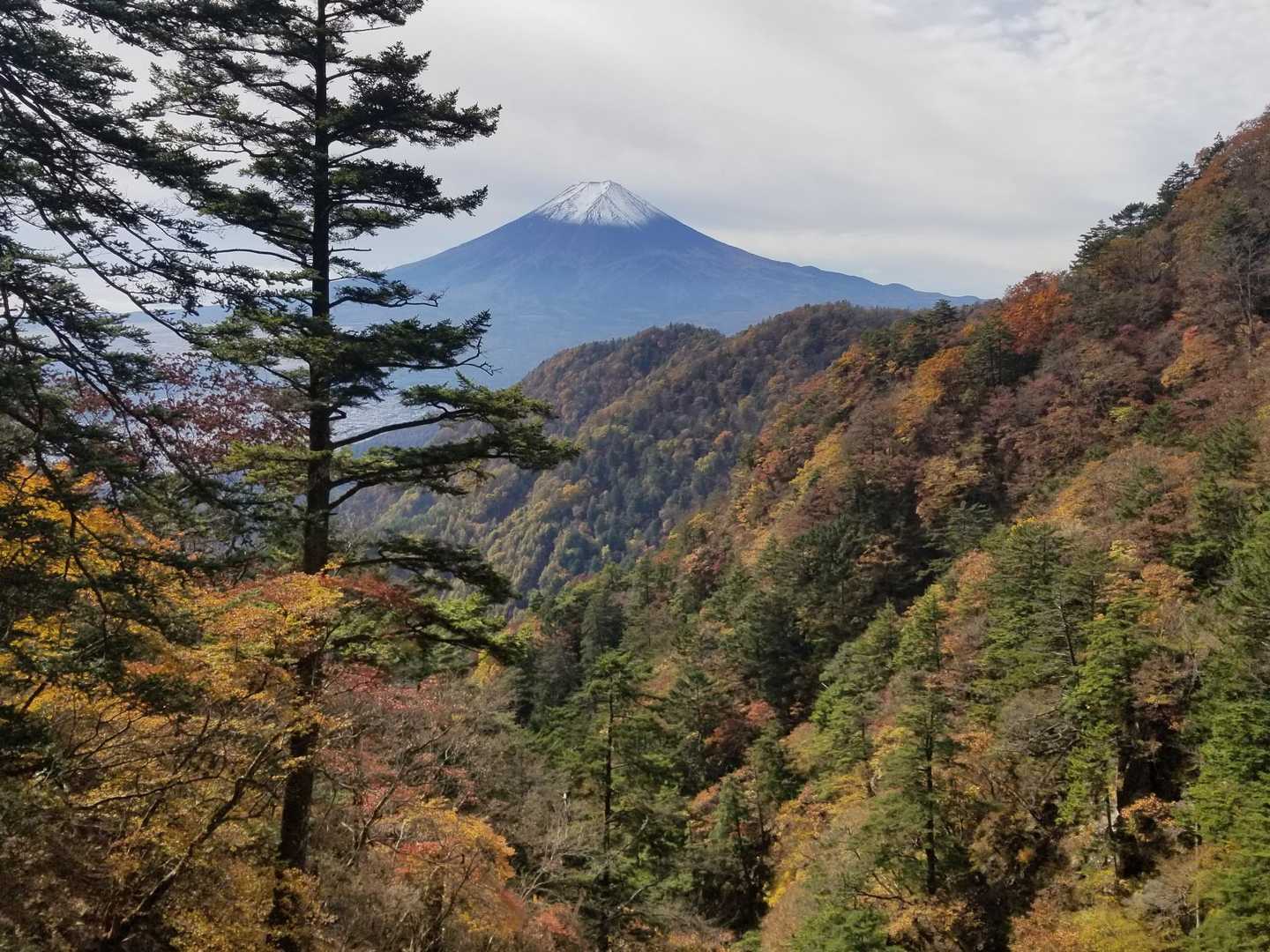 憩いの森公園駐車場-三ッ峠山 往復コースの写真