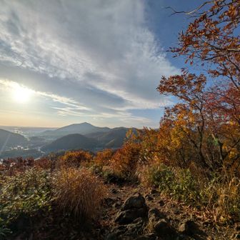 綺麗だぁ〜✨✨🍂🍁🌤️🌤️