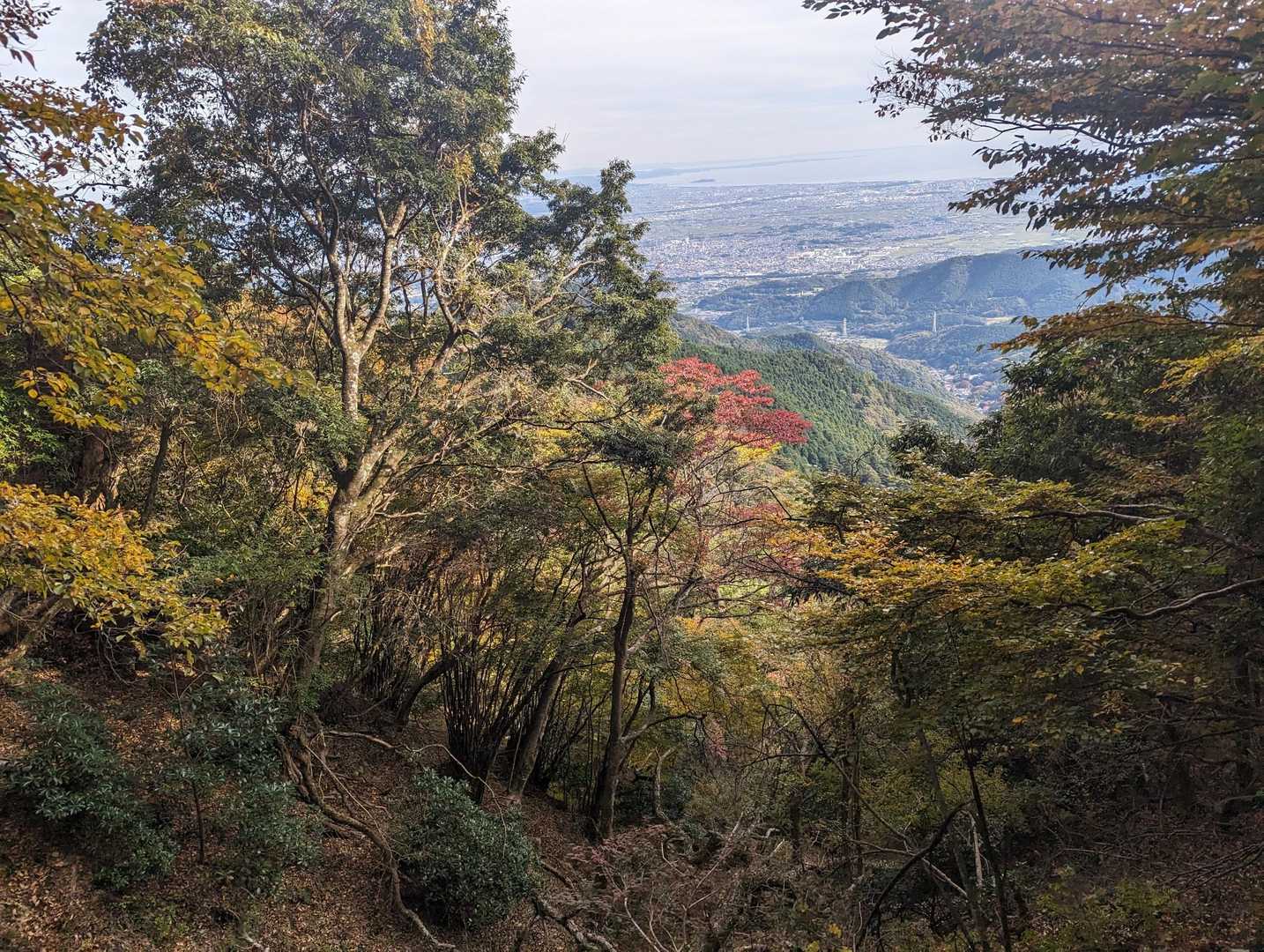 鶴巻温泉駅-吾妻山-善波山-念仏山-高取山-不動越-蓑毛越 縦走コースの写真