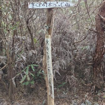 立べボウ一本つつじ山登頂✨️
お山の名前のインパクト🤣