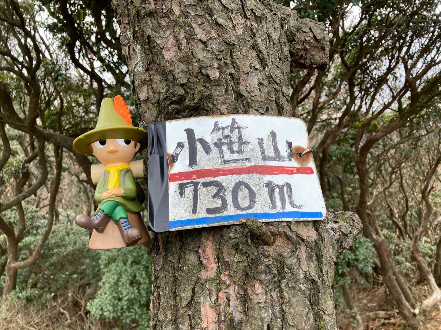 溝干山まであと一歩、小笹山。