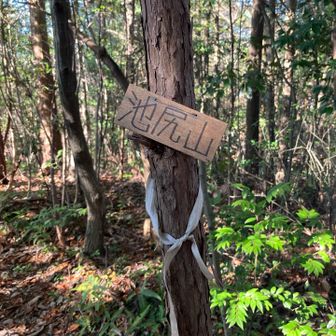 祠の横に、池尻山の標識を発見。
こちらもかわいいサイズのプレート。
周囲の眺望は無し。変わってないなぁ。🤔